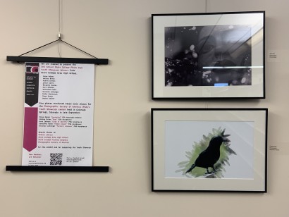 Image of a wall with photographs of a bird and a person 