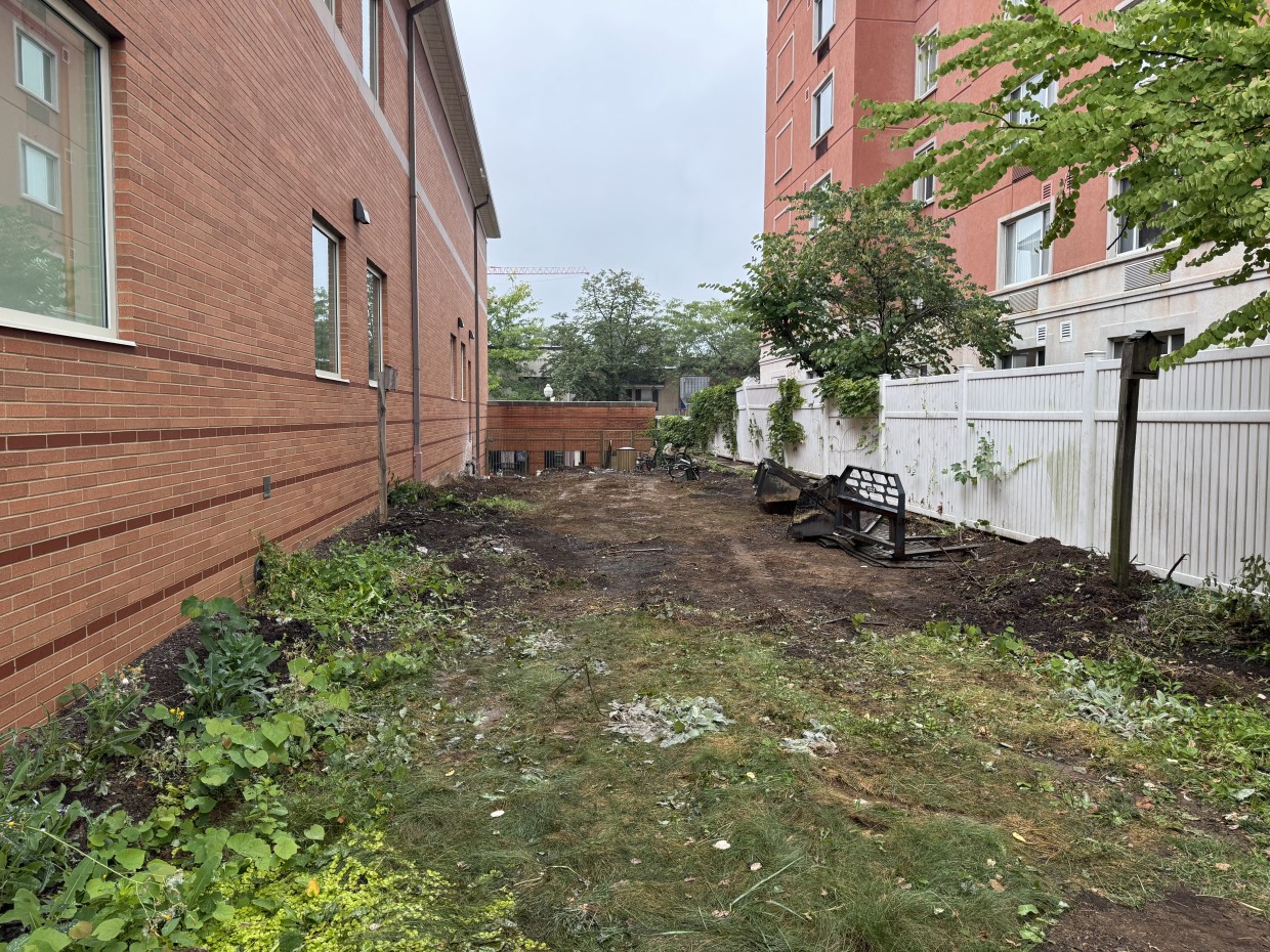 Garden on August 20, 2025