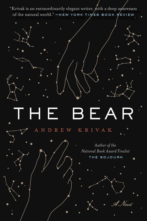 Image of bear constellation