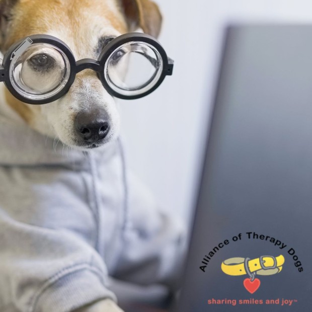 Image of a dog wearing glasses in front of a computer