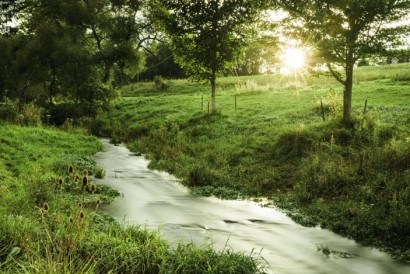 Image of a stream running through a green field with trees and sun shining in the distance