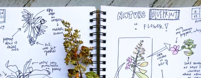 Image of Nature Journal page. Various flora are drawn and shaded with colored pencil.