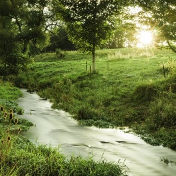 Image of a stream running through a green field with trees and sun shining in the distance