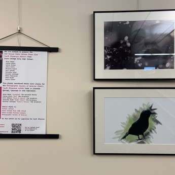 Image of a wall with photographs of a bird and a person 