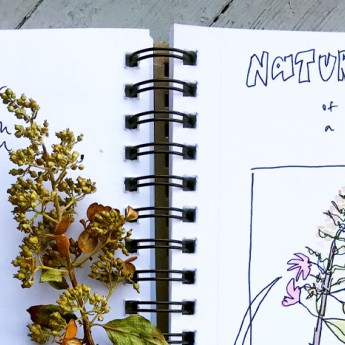 Image of Nature Journal page. Various flora are drawn and shaded with colored pencil.