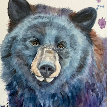 Image of a bear's face painted in watercolor by artist Danae Steel