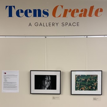Image of State College Photo Club Youth Showcase images on Teens Create Gallery Wall